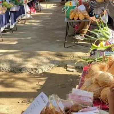 Screenshot 20230912 175354 Chrome Y Thumb